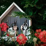 Bed & Breakfast Roof Garden